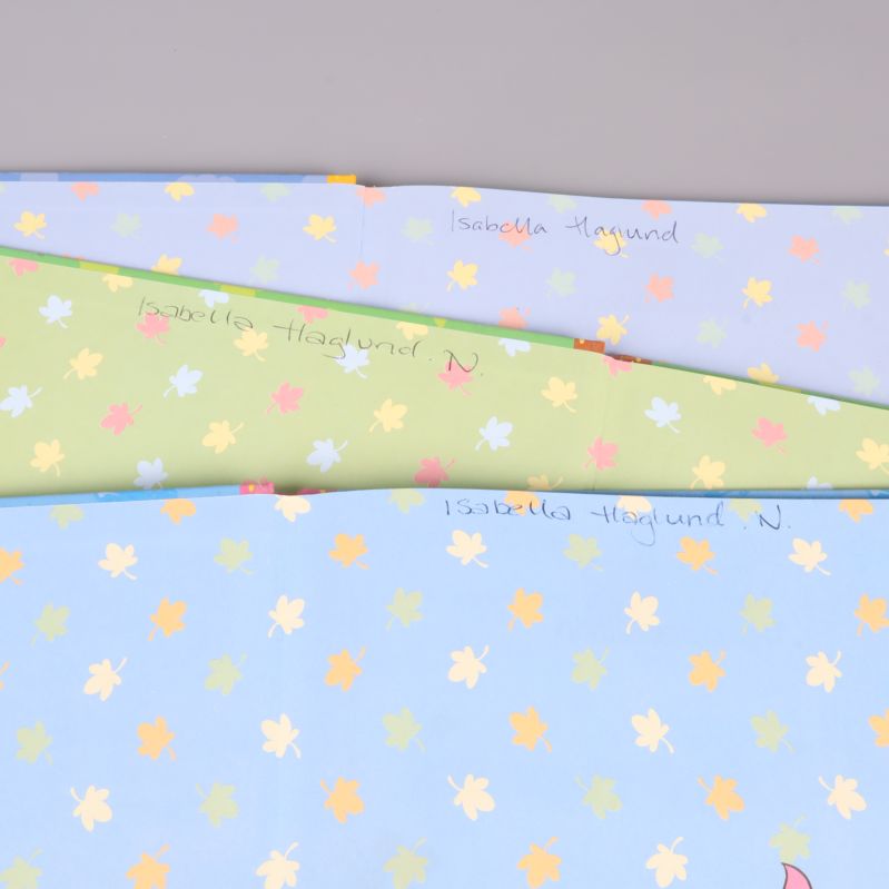 Insida bok med handskrivet namn på mönstrad bakgrund