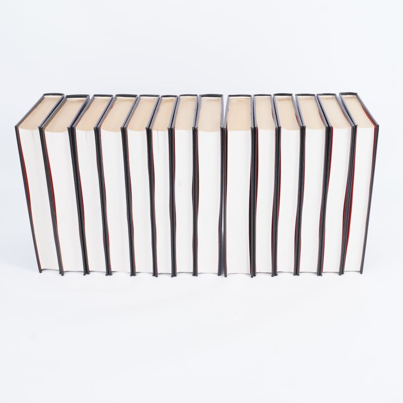 Ovanifrånvy av fjorton stående böcker med vita sidor