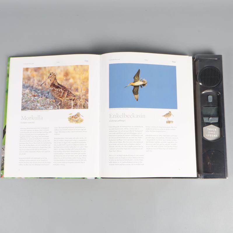 Uppslag i boken med bilder och texter om Morkulla och Enkelbeckasin