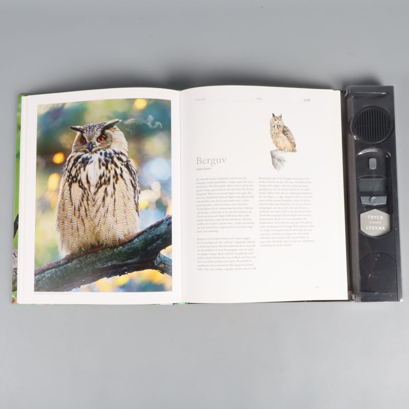 Uppslag i boken med bild och text om fågelarten Berguv