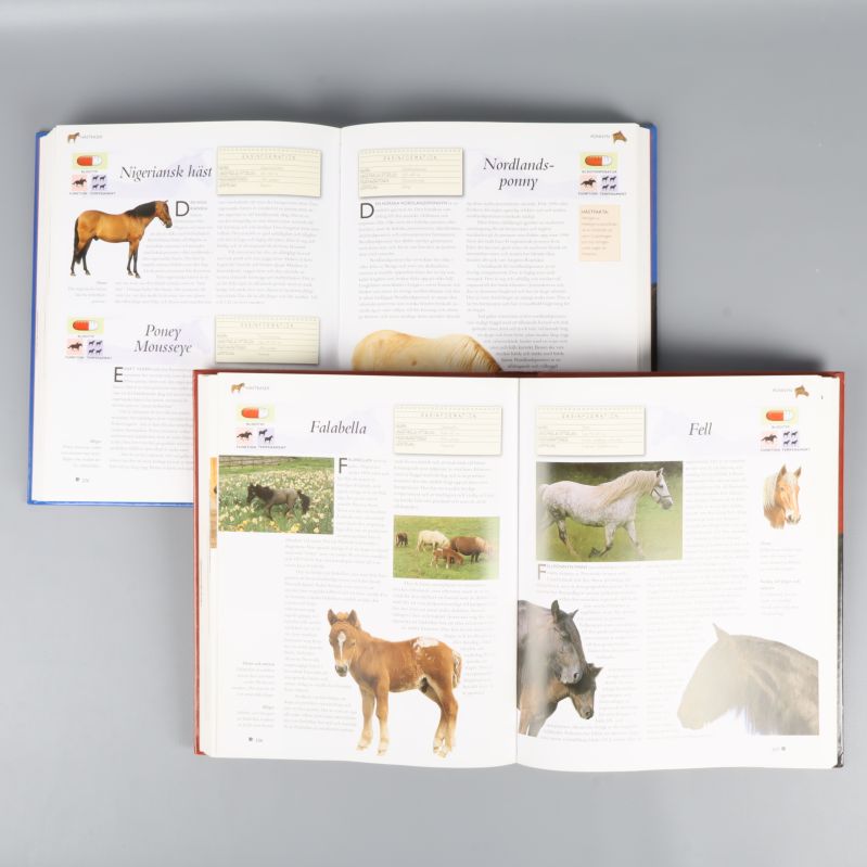 Uppslag ur båda böckerna med färgbilder och faktarutor om hästraser