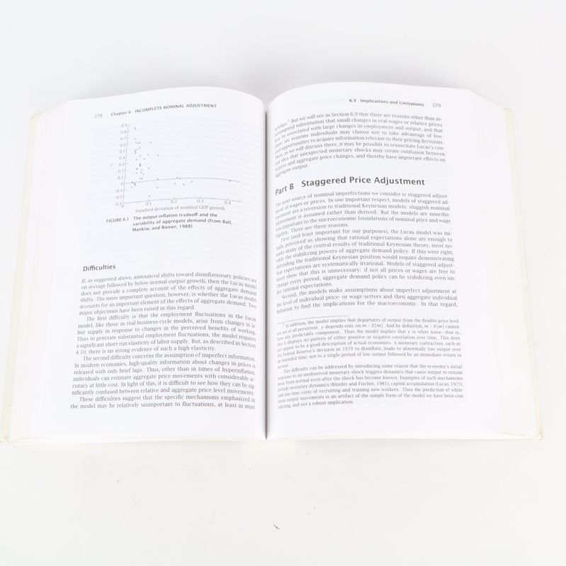 Uppslagna sidor i Advanced Macroeconomics med grafer och engelsk text