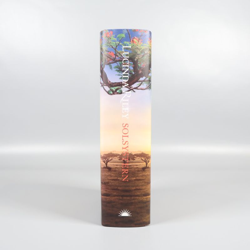 Bokrygg för Solsystren med titel och författare