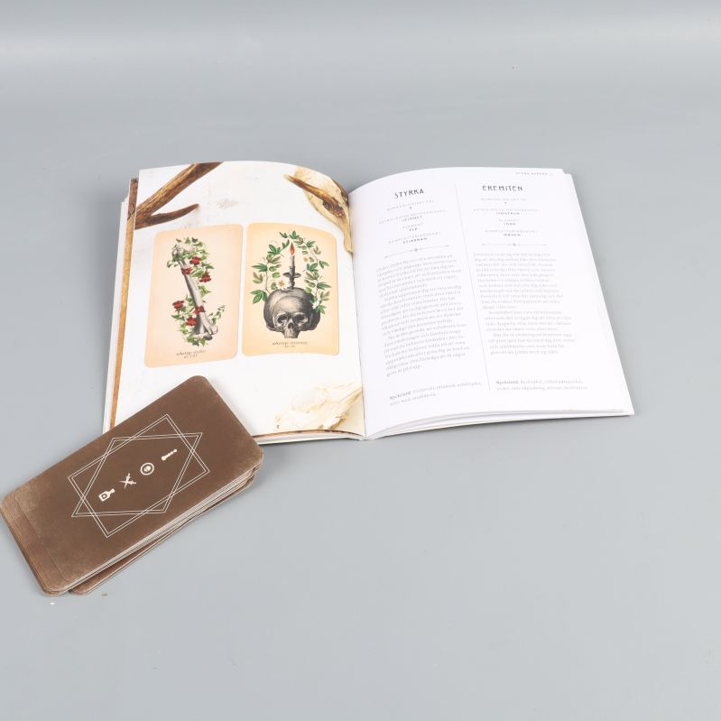 Handbok med beskrivning för styrka och eremiten, tarotkort intill