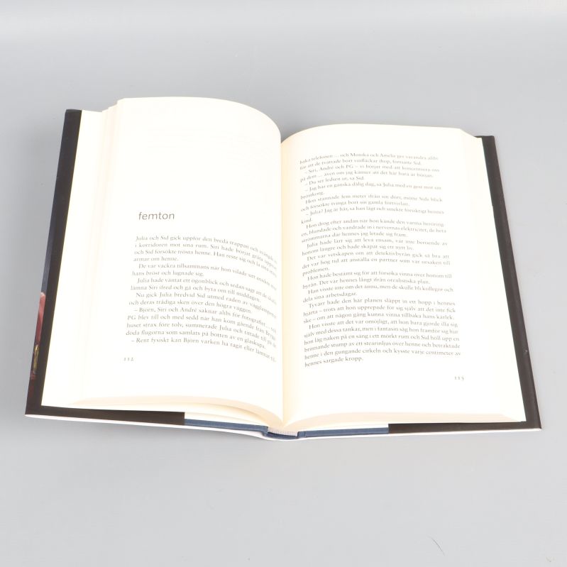 Uppslagen bok med läsbar text och kapitel femton