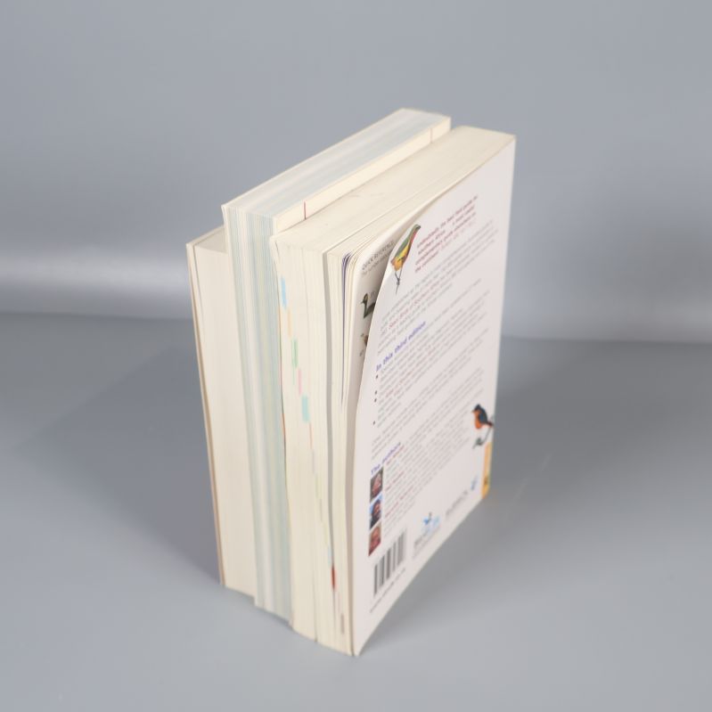 Öppnade fågelguider sedda ovanifrån