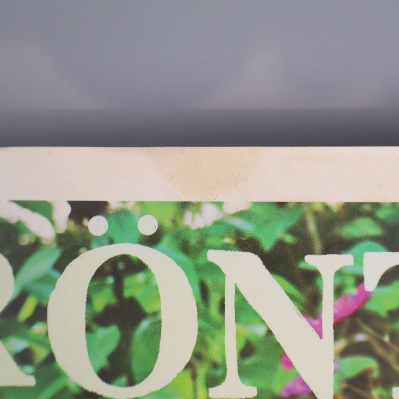 Fläck på Grönt! Odla egna grönsaker