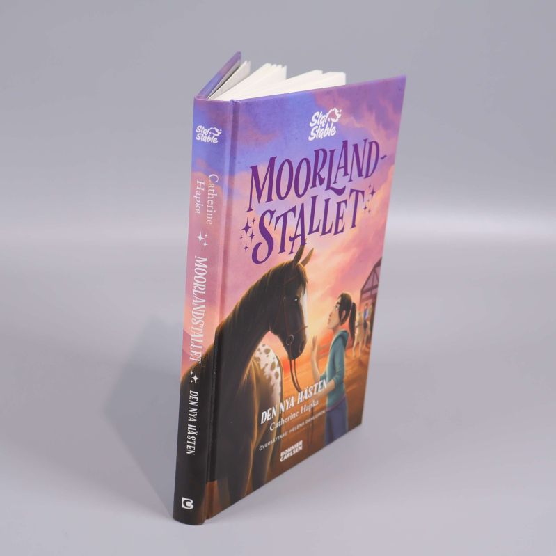 Moorlandstallet Den nya hästen fotograferad snett framifrån