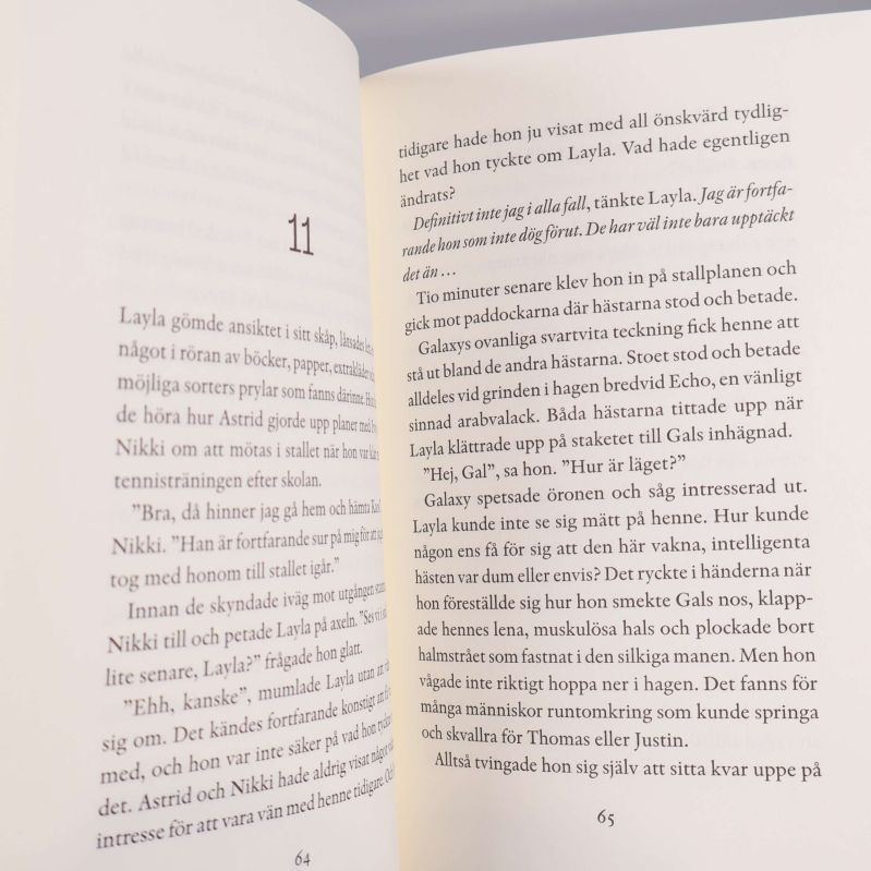 Uppslag med text och kapitelnummer inuti boken