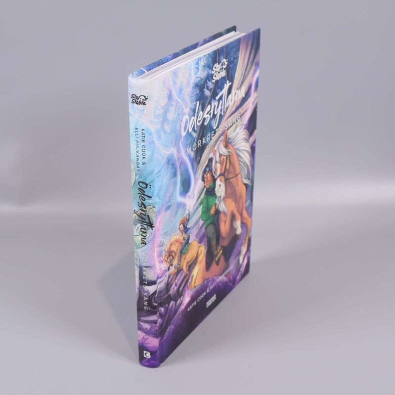 Boken Ödesryttarna Mörkrets sång stående i vinkel så ryggen syns