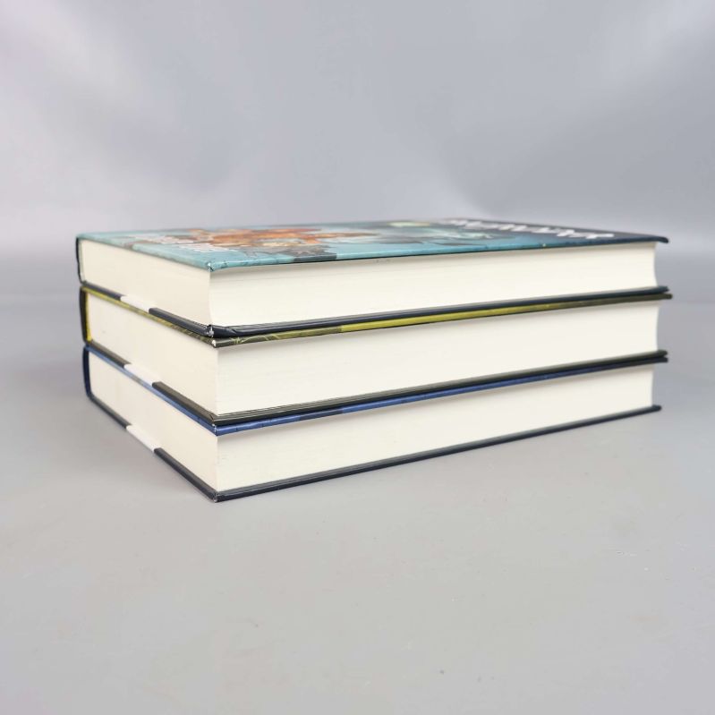 Staplade böcker ur Vargbröder-serien sedda från sidan