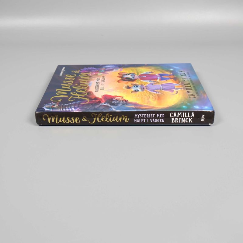 Boken ligger ned med ryggen synlig, titeln visas tydligt