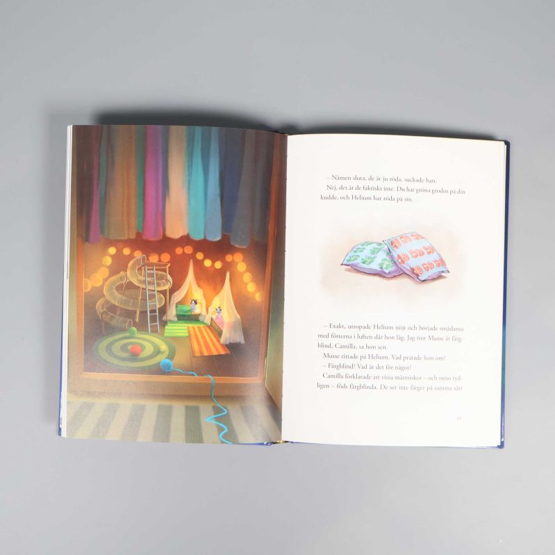 Uppslag i boken med färgillustration av litet mysigt rum och text