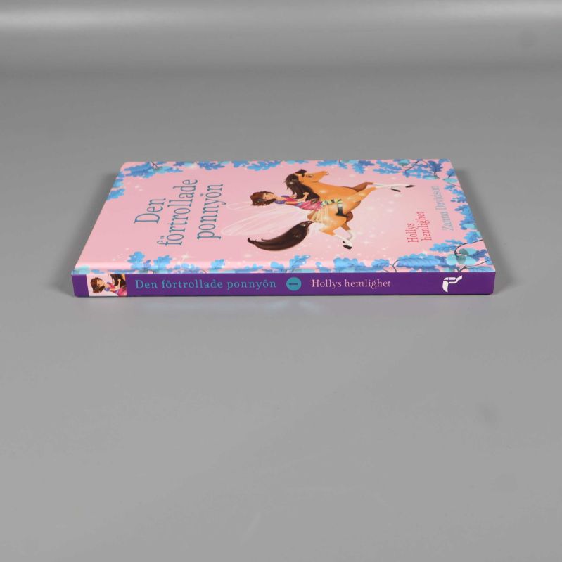 Bokrygg på Den förtrollade ponnyön liggande på grått underlag