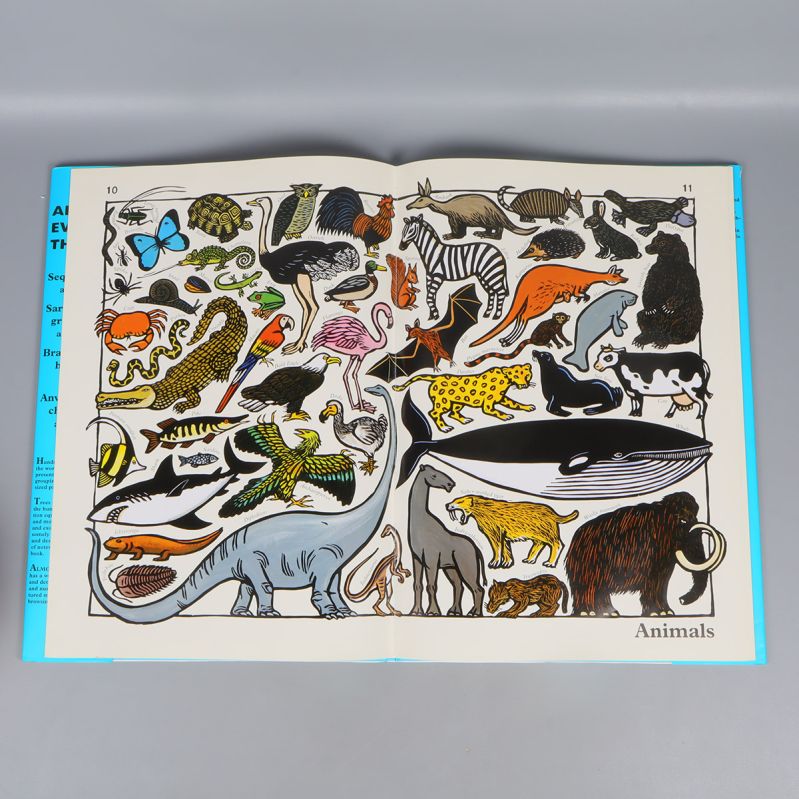 Uppslag ur boken med tecknade djur i olika former och färger
