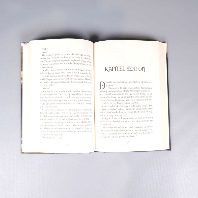 Uppslag från en Spejarens lärling-bok med kapitelstart och löpande text