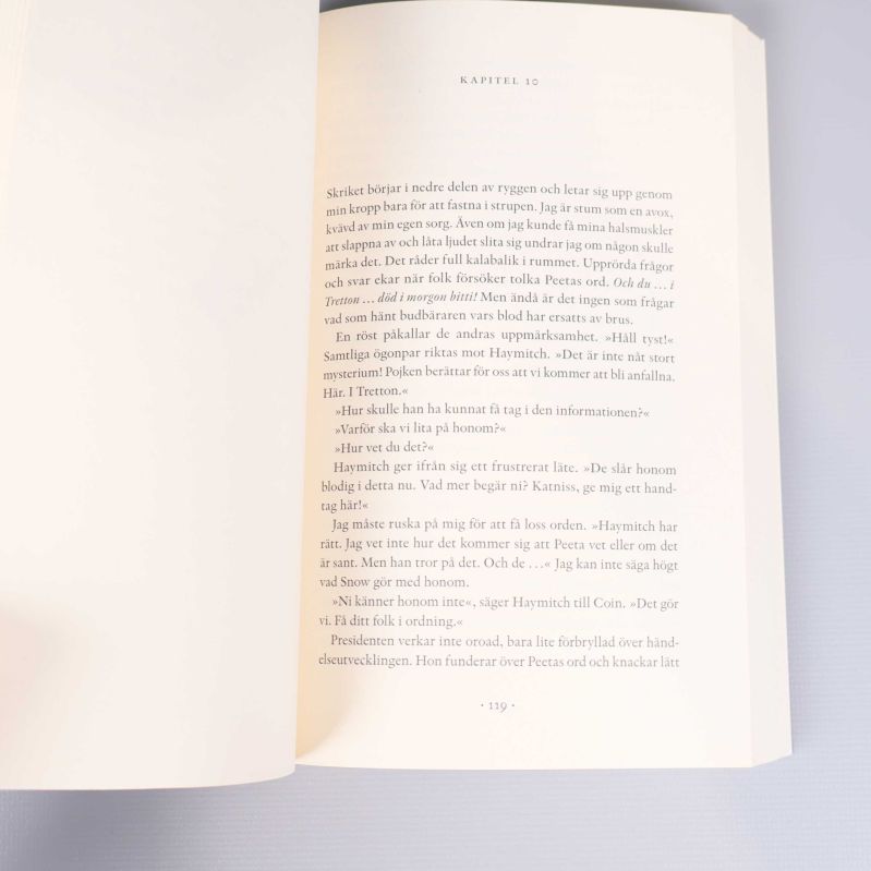 Uppslag ur en av böckerna, kapitel 10, sida 119