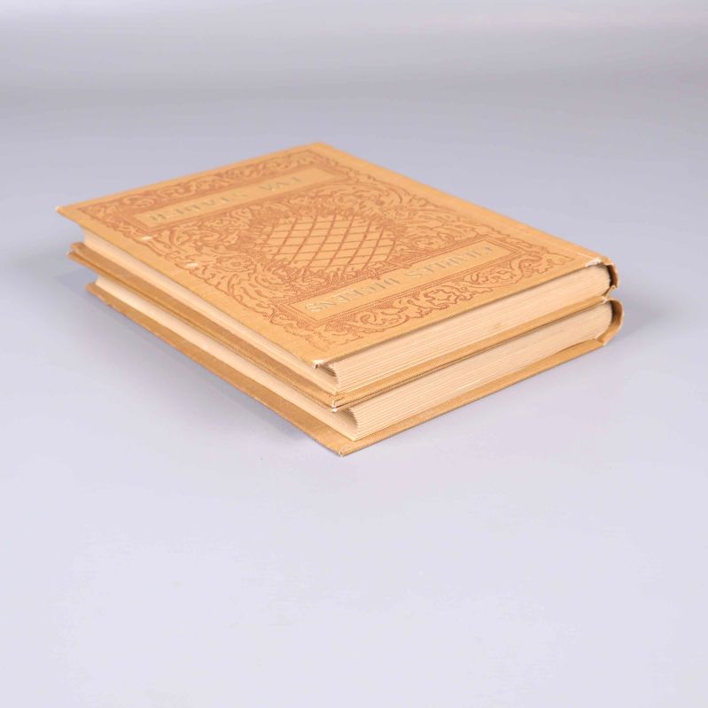 Två böcker av Charles Dickens, Två städer, sedda från sned vinkel