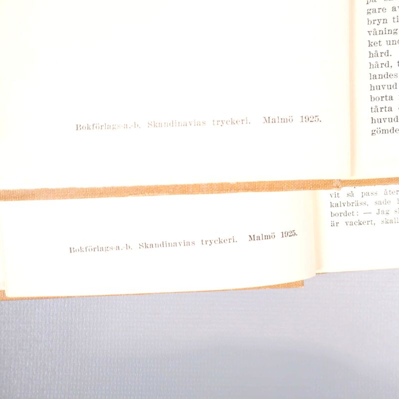 Närbild på tryckår 1925 från bokens inlaga