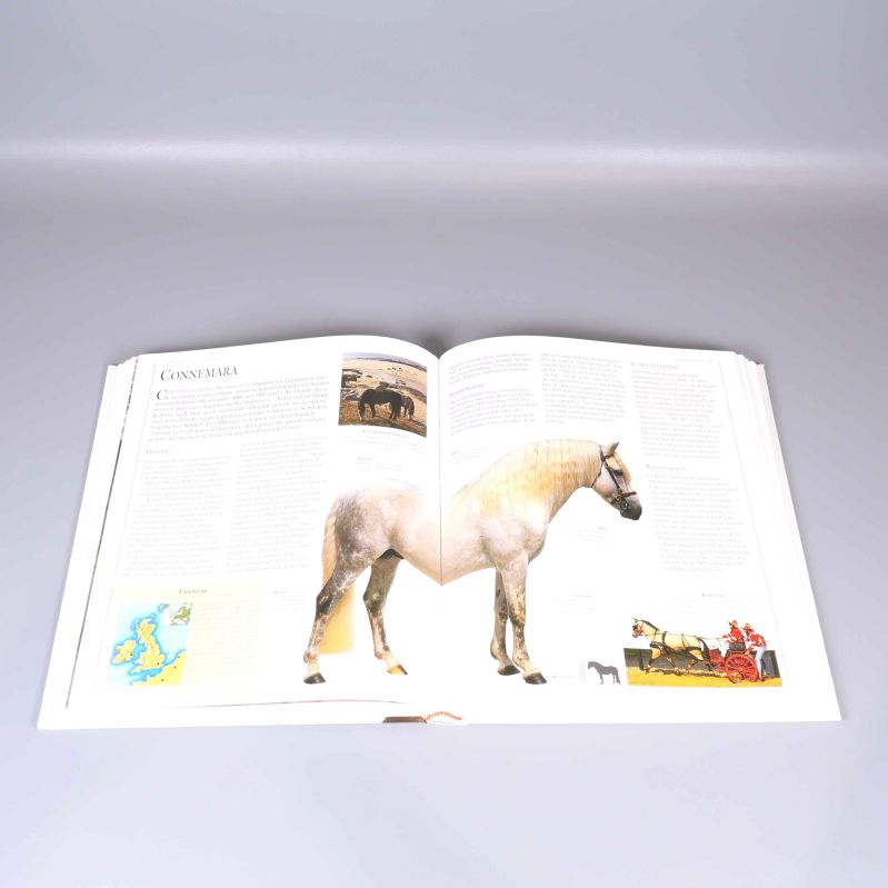 Uppslag ur Bonniers stora hästlexikon med bilder och fakta om Connemara-ponny