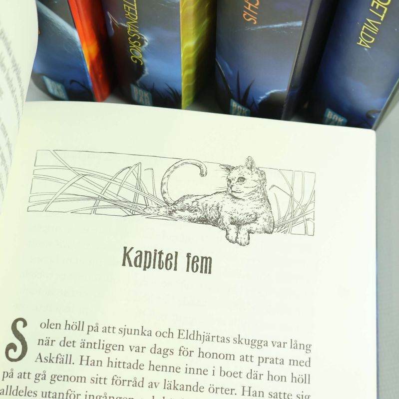 Bokuppslag med kapitelrubrik och tecknad katt