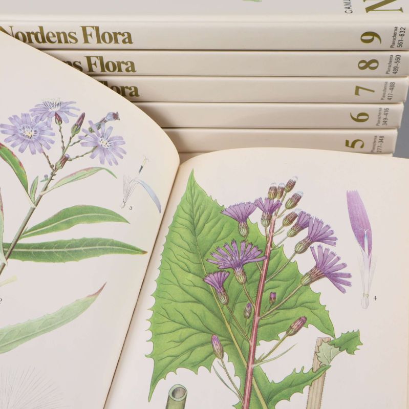 Uppslag ur Nordens Flora med färgstarka botaniska bilder