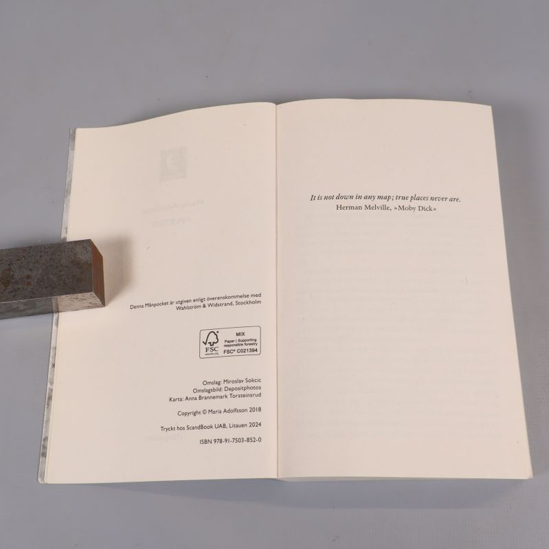 Titelsida och citatsida i boken Felsteg, med ISBN och tryckinformation