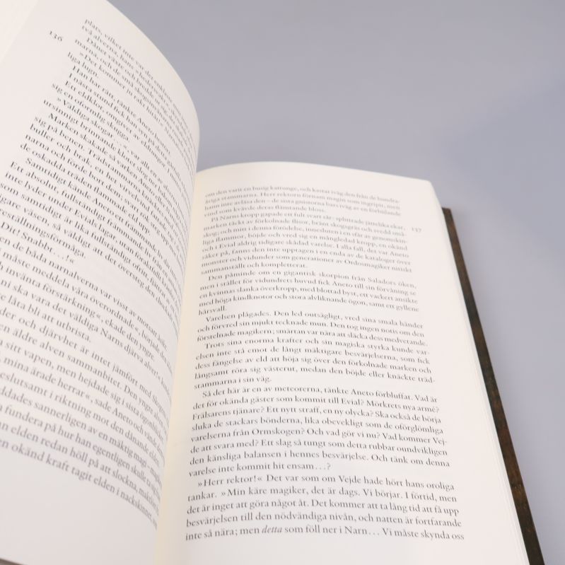 Uppslag i boken Nekromantikerns krig IV Final, visar text och layout