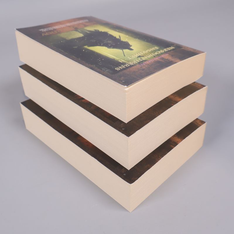 Tre böcker ur Svärdens väktare staplade med sidkanter synliga