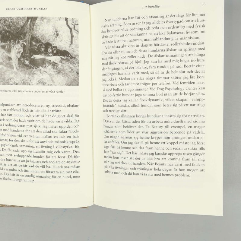 Uppslag ur boken Cesar och hans hundar av Cesar Millan med text och illustration