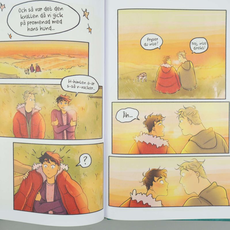 Färglagd seriesida ur Heartstopper med två pojkar i solnedgång