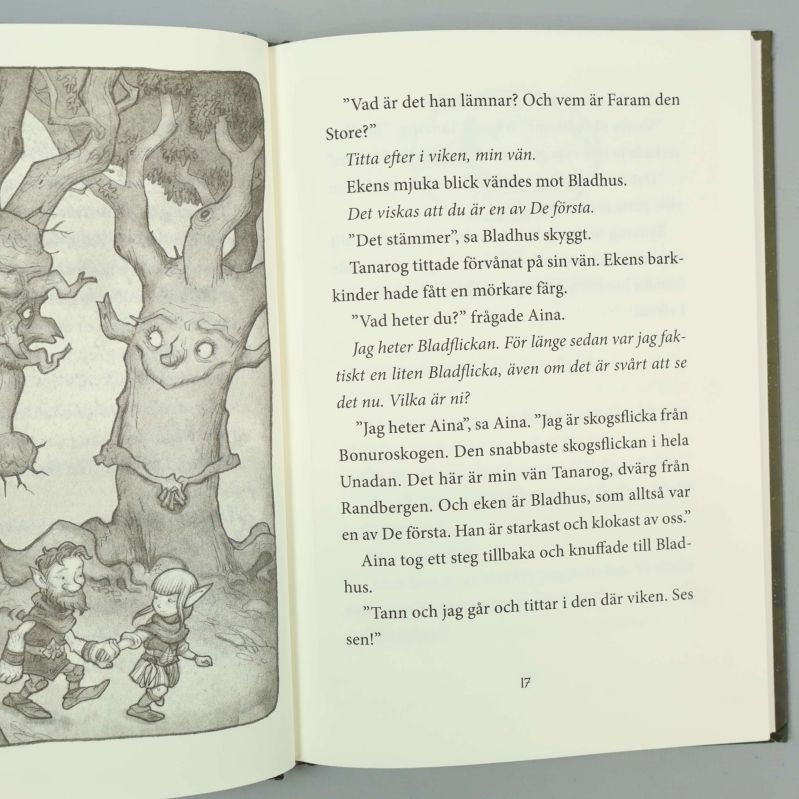 Innersida från Legenden om Tann med svartvit illustration och text på sidan