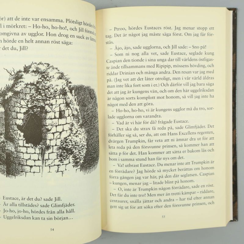 Uppslag ur Narnia-bok med svensk text och illustration av brunnen