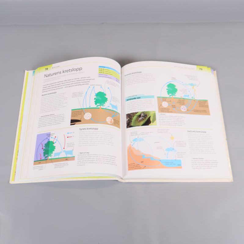 Färgglada illustrationer och texter om naturens kretslopp i en uppslagen bok