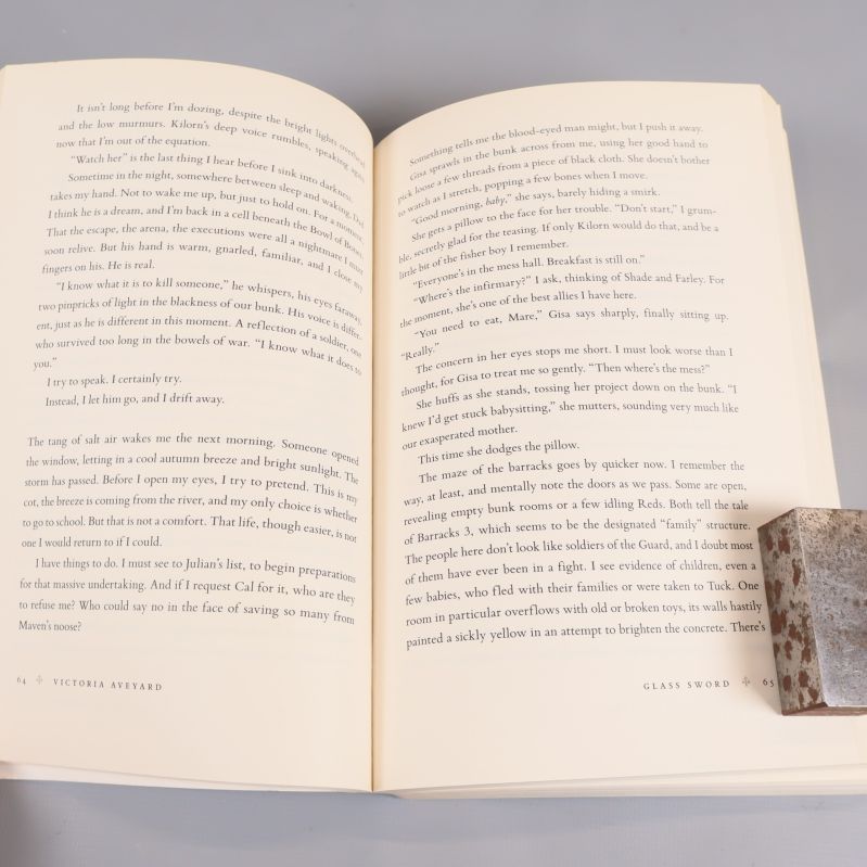 Ihopslaget uppslag med text ur boken Glass Sword av Victoria Aveyard
