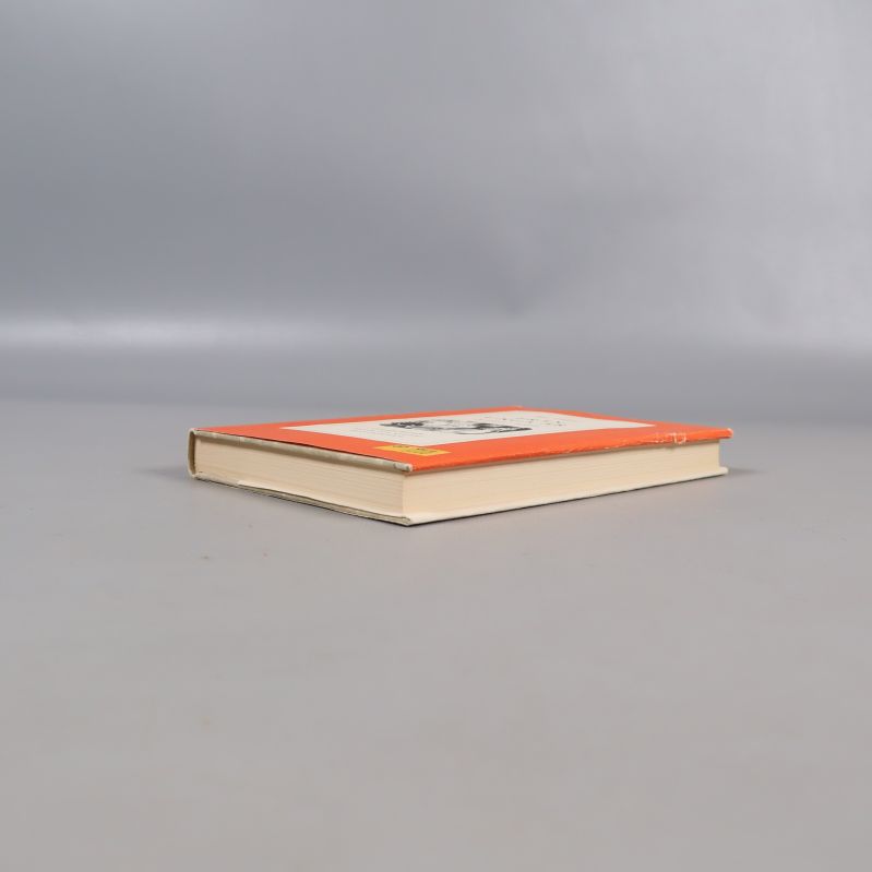 Boken Från unga år sedd från sidan, inbunden i orange klotband