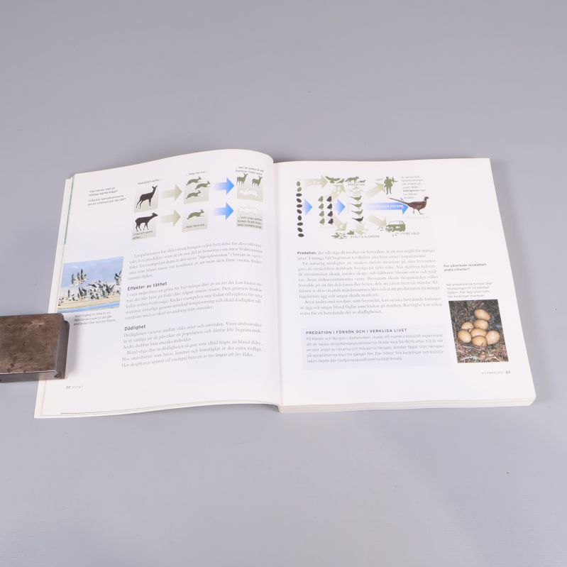 Innehållssida från Nya Jägarskolan Viltet med bilder och diagram om djur och ekosystem