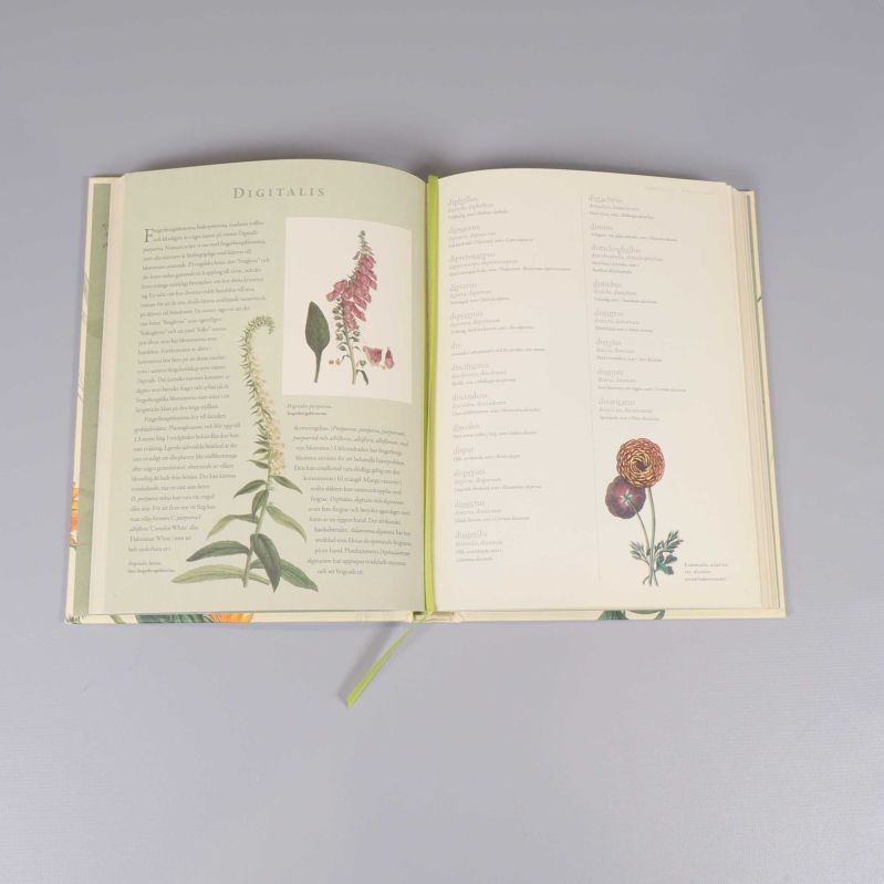 Uppslagen sida ur boken Latin för trädgårdsälskare med text och illustrationer