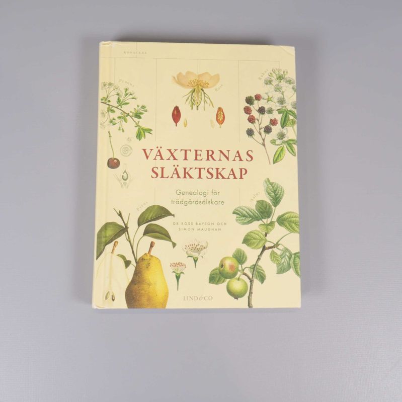 Framsidan av boken Växternas släktskap med botaniska illustrationer