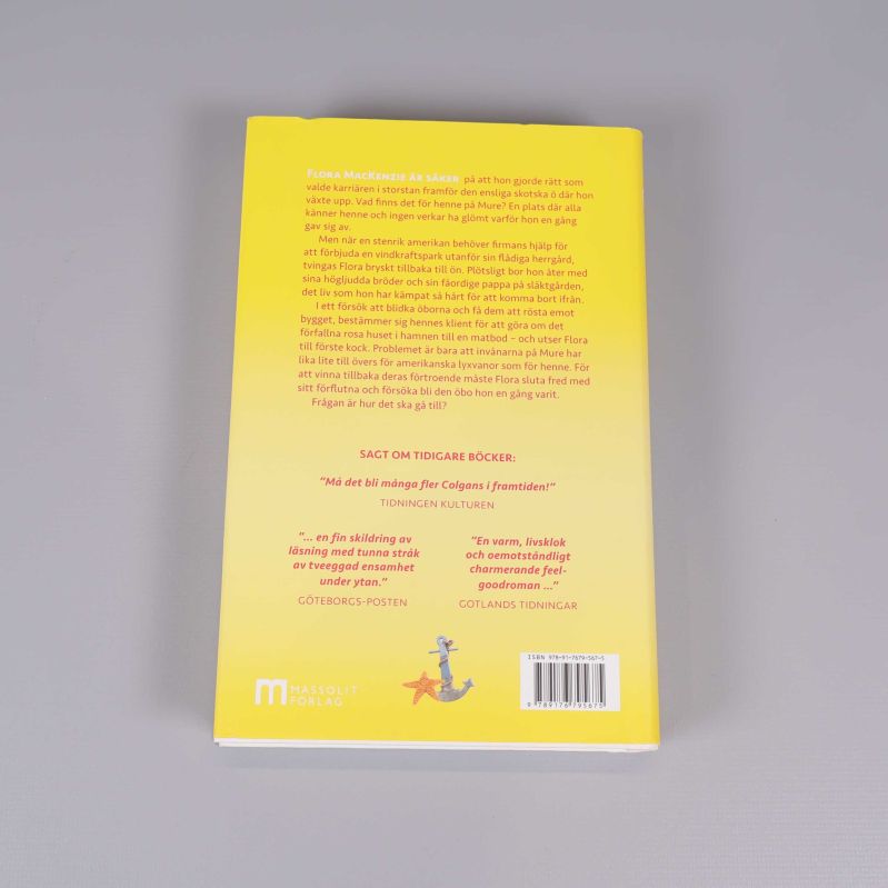 Baksidan av boken Sommar på den lilla ön i havet med sammanfattning och textutdrag