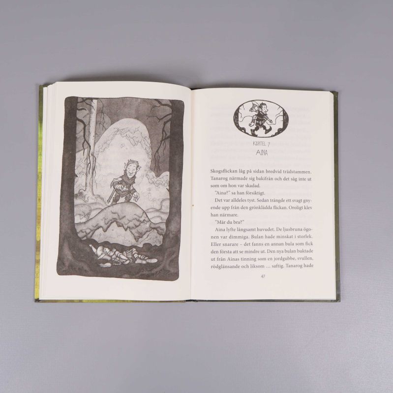Uppslaget inuti en Legenden om Tann-bok med illustration och text