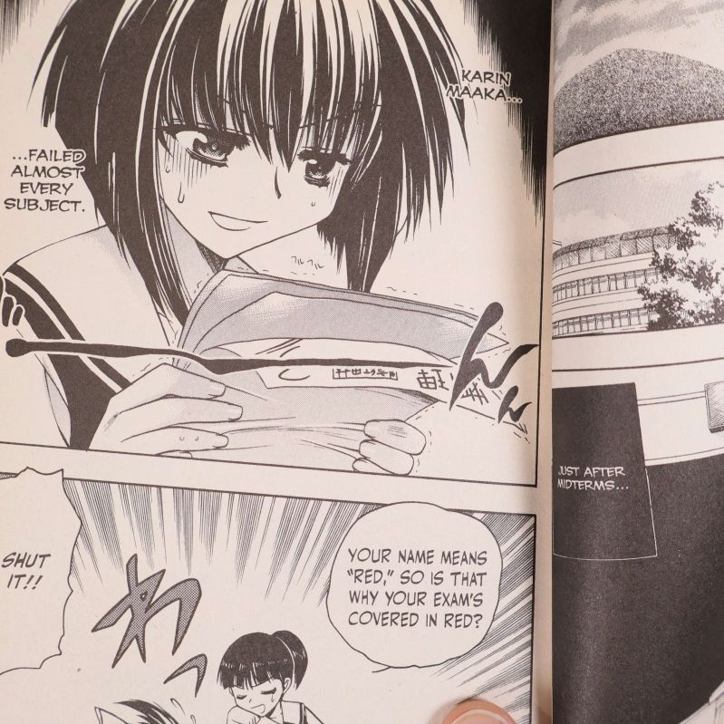 Svartvita serierutor från insidan av Chibi Vampire manga