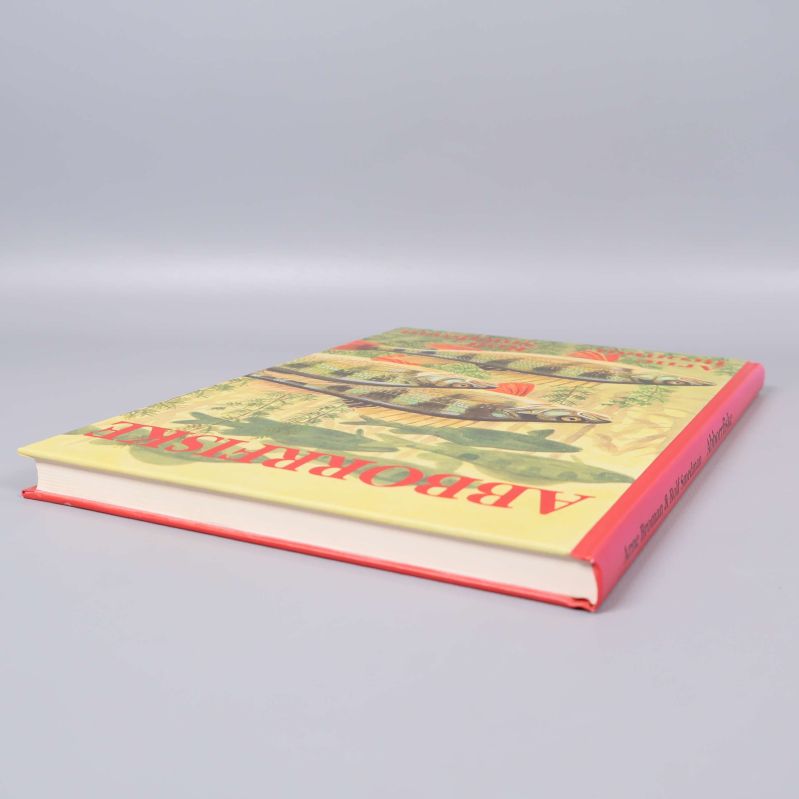 Boken Abborrfiske liggande från annan vinkel