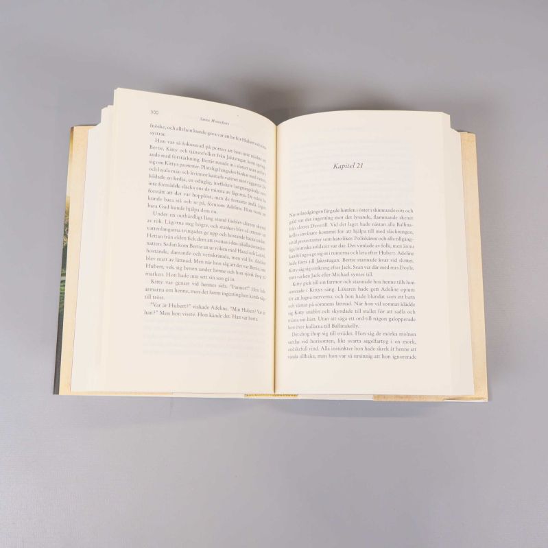 Uppslagen bok med kapiteltext och sidnummer 300