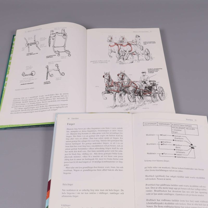 Uppslag ur båda böckerna, med grafiska hästillustrationer och text