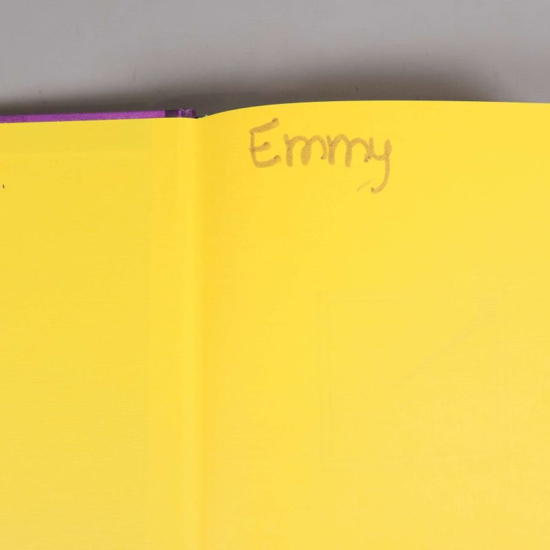 Första sidan inuti boken Dagbok för alla mina fans – Den bistra sanningen med handskriven text 'Emmy'