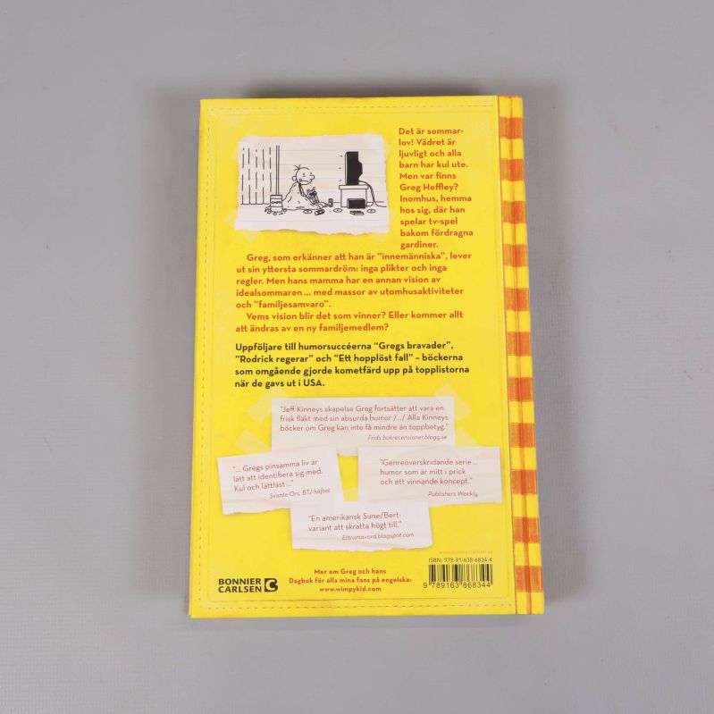 Baksidan av boken Dagbok för alla mina fans: Usla utsikter med text, citat och ISBN