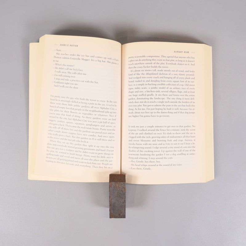 Uppslag av bok med engelsk text från Already Dead