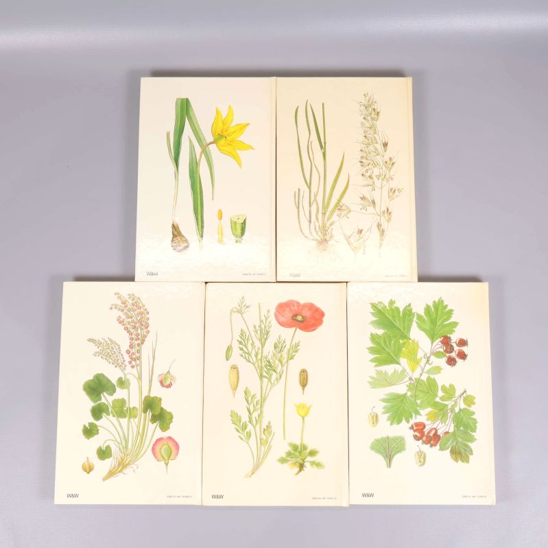 Baksidor på fem böcker från serien Nordens Flora, med färgillustrationer