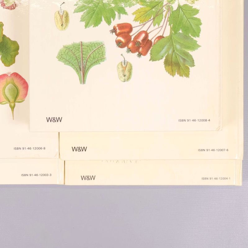 Närbild på ISBN-numren från fem Nordens Flora-böcker